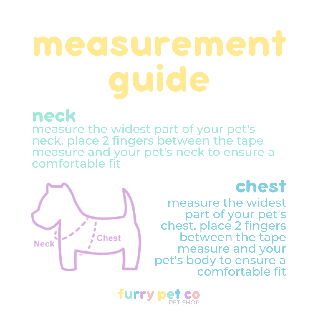 Furry Pet Co ONECUTE Harness & Leash Set