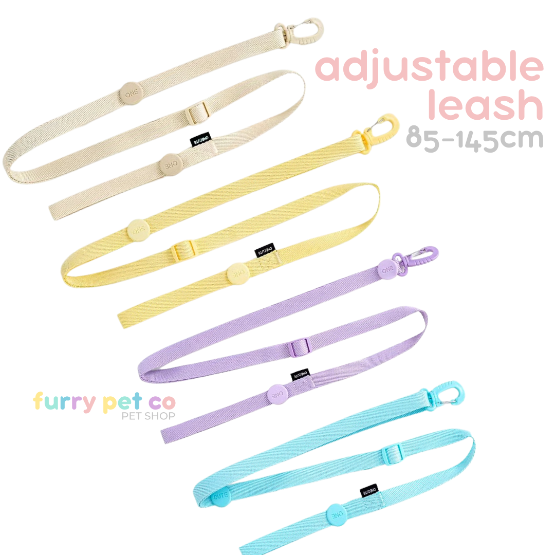 Furry Pet Co ONECUTE Harness & Leash Set