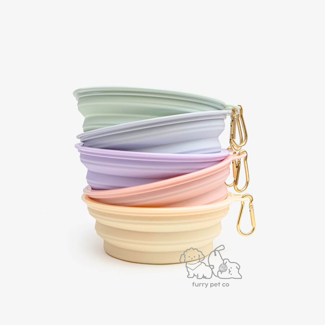 Furry Pet Co 350ml and 650ml Collapsible Bowl