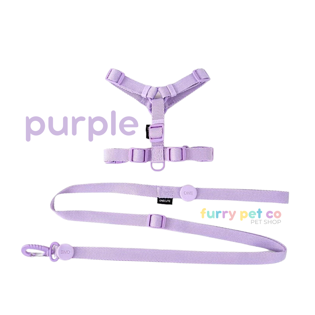 Furry Pet Co ONECUTE Harness & Leash Set